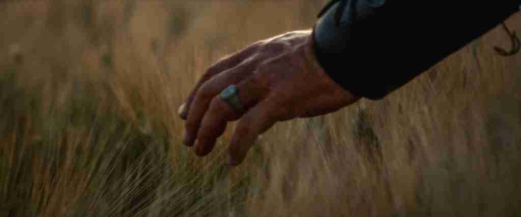 Maximus’ hand in the wheat field for the gladiator beat sheet – A structural audit of the Opening Image and Final Image visual motif.