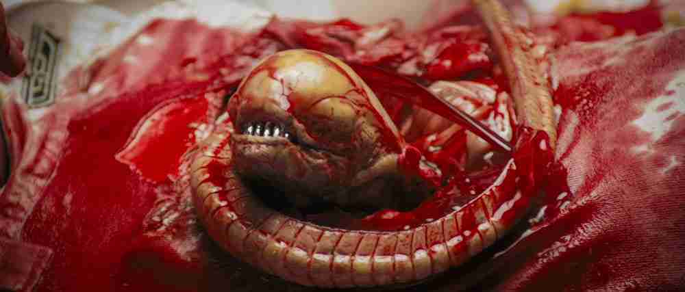 The Chestburster alien, the physical manifestation of the Midpoint (Beat 9) in the ALIEN Beat Sheet.