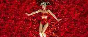 The iconic red rose fantasy from American Beauty, representing the Break into Two beat on the American Beauty Beat Sheet.