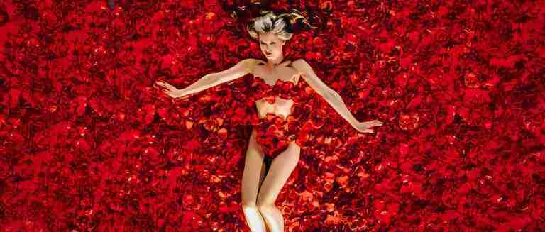 The iconic red rose fantasy from American Beauty, representing the Break into Two beat on the American Beauty Beat Sheet.