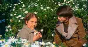 Maude holding a single daisy while talking to Harold in a field of flowers, illustrating the "Individual vs. Mass" screenplay theme.