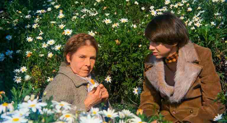 Maude holding a single daisy while talking to Harold in a field of flowers, illustrating the "Individual vs. Mass" screenplay theme.