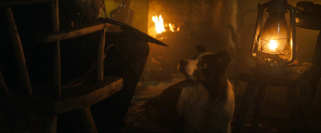 Pádraic sits in Colm's chair inside the cottage with blood-stained shears angled toward Colm's dog in The Banshees of Inisherin, choosing to pet the dog instead