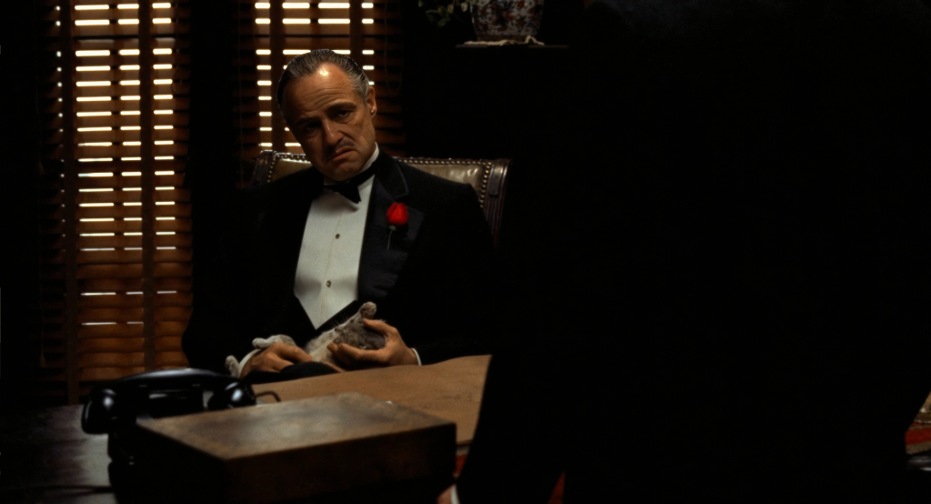 Vito Corleone with cat in the opening scene of The Godfather — the rare film that topped all five columns in the Oscars best picture data: Best Picture winner, IMDb #1, Metacritic #1, Rotten Tomatoes #1, and box office #1 for 1972