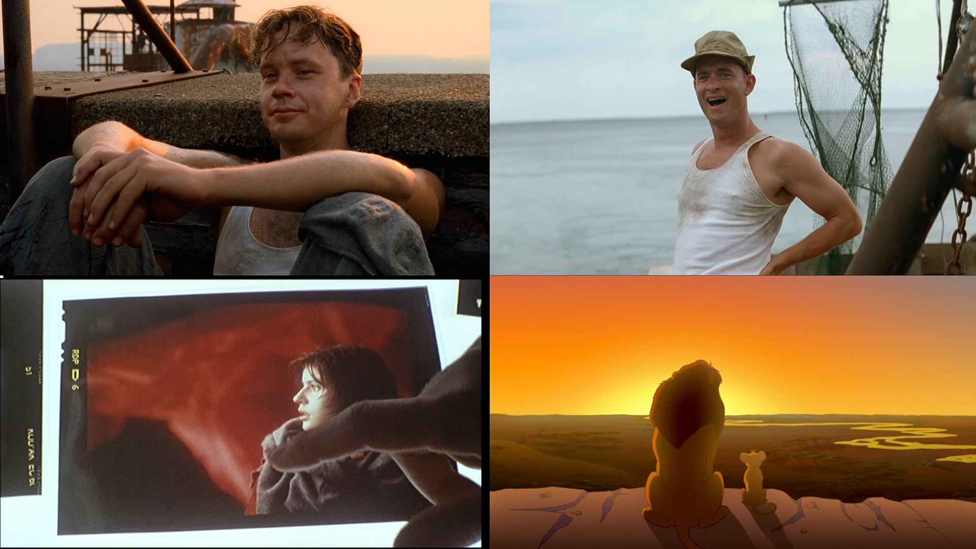 1994 Best Picture comparison: Forrest Gump (Academy winner), The Shawshank Redemption (IMDb #1 all time), Three Colors Red (Metacritic top rated), and The Lion King (box office #1) — Oscars best picture data showing four systems chose four different films